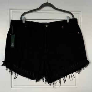 Wild Fable Black Frayed Jean Shorts